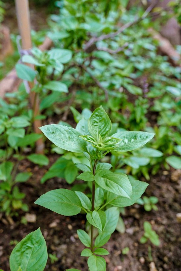 Come decorare un soggiorno con oggetti di design sostenibile e di riciclo creativo?