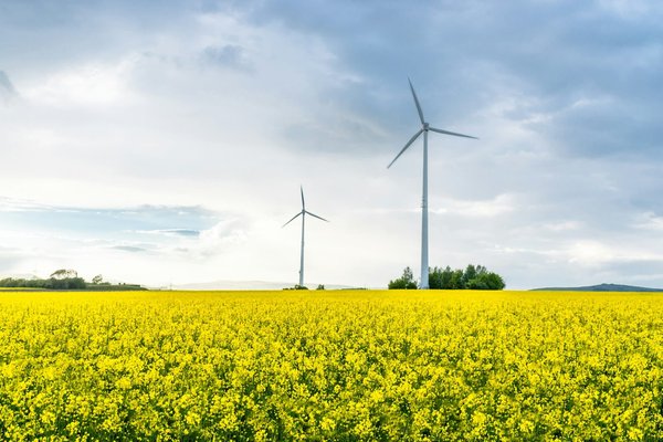 Quali sono le ultime innovazioni in sistemi intelligenti per la gestione energetica domestica?